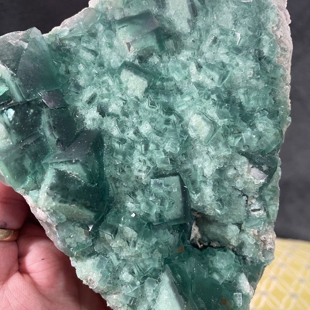 6”x3”- 3 shades green fluorite- glass like transparency large/small cubic form