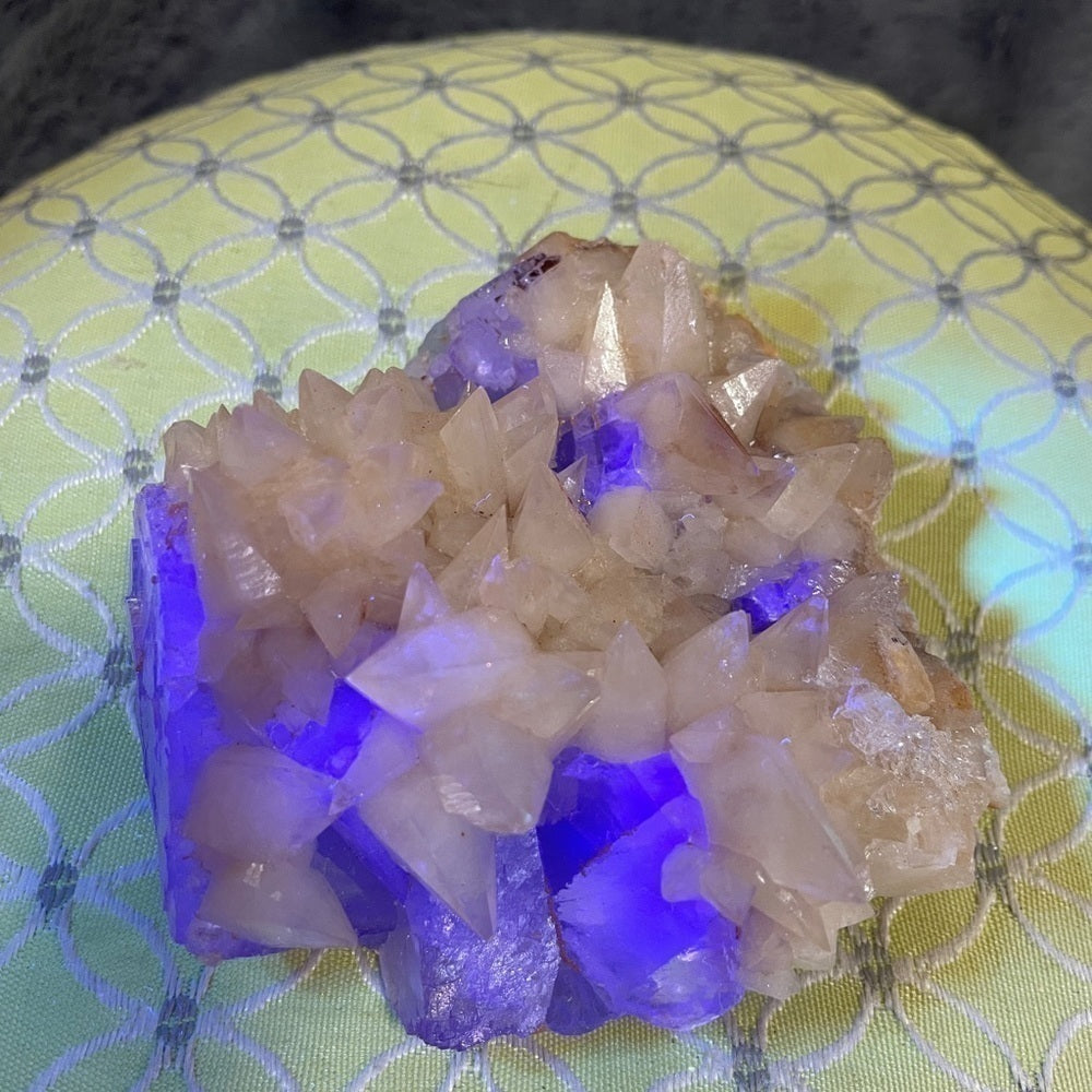 RAW NATURAL DOG TOOTH W/ FLUORITE! STRONG PURPLE UV 4βx3.5βx3β STATEMENT