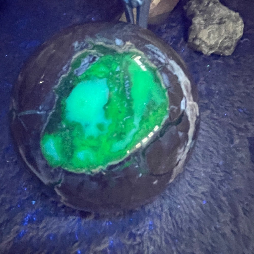 Everyone’s 🤩 Favorite TURTLE- Natural, genuine VOLCANO AGATE GEMSTONE W/ UV