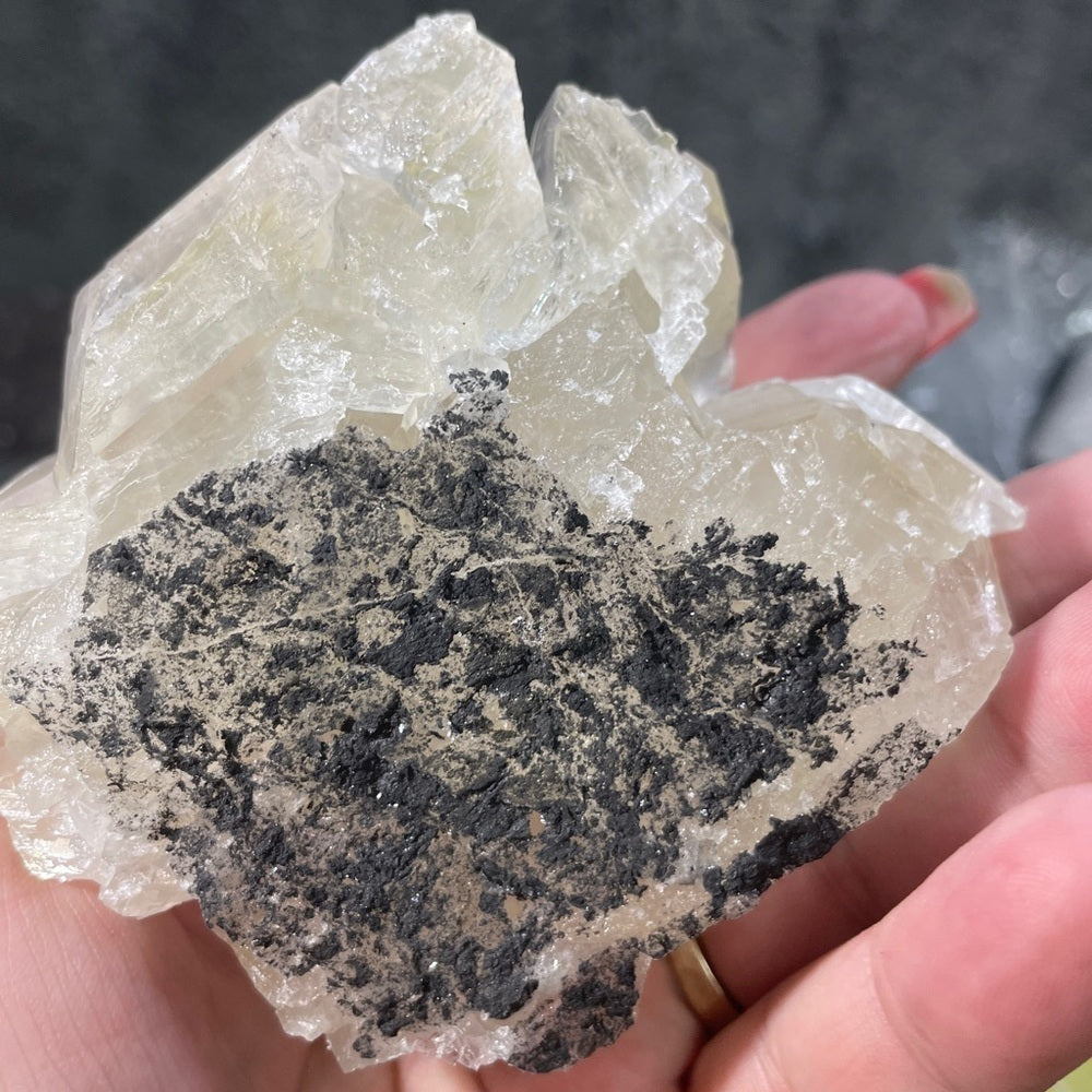 AMAZING YELLOW PADDLE CALCITE- EXTRA SHINE 4” in diameter 2” paddles! STUNNING