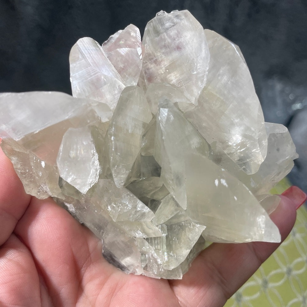 AMAZING YELLOW PADDLE CALCITE- EXTRA SHINE 4” in diameter 2” paddles! STUNNING