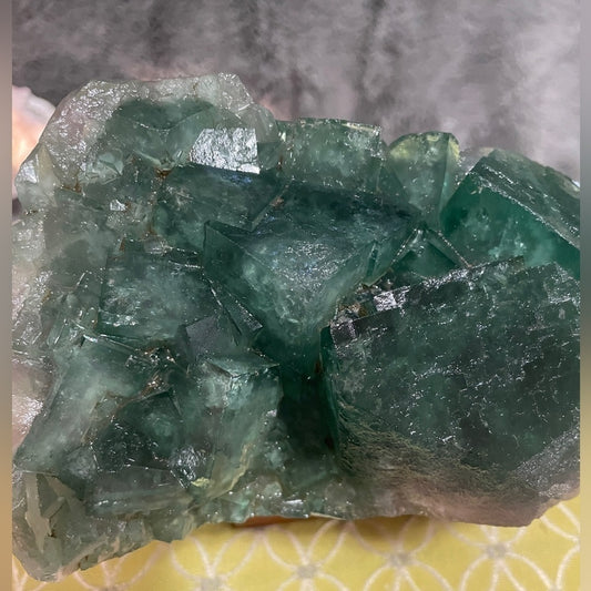 XTRA CHUNKY FOREST GREEN FLUORITE- STRONG UV 6”x4” w/ 1” CUBIC FORMATION