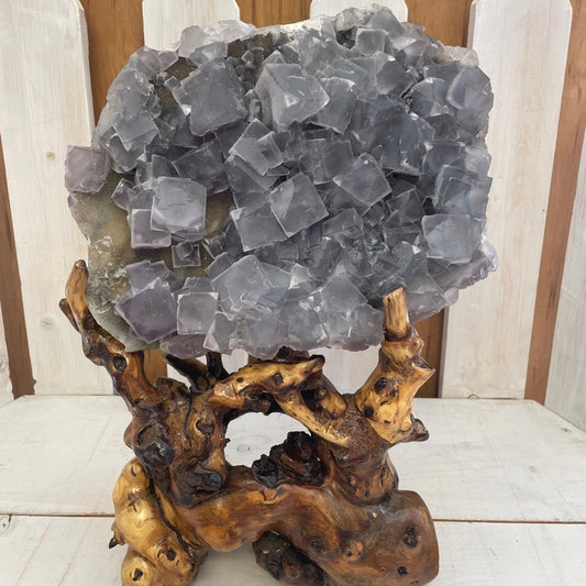 HARD TO LET GO🥲14 POUNDS OF SOLID BLUE FLUORITE CUBES, XL CUBES W/STAND
