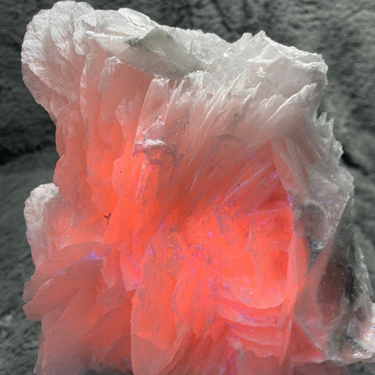 Raw crystal- PINK CALCITE- strong red UV reaction SHOW PIECE 6”x6”- 3”thick