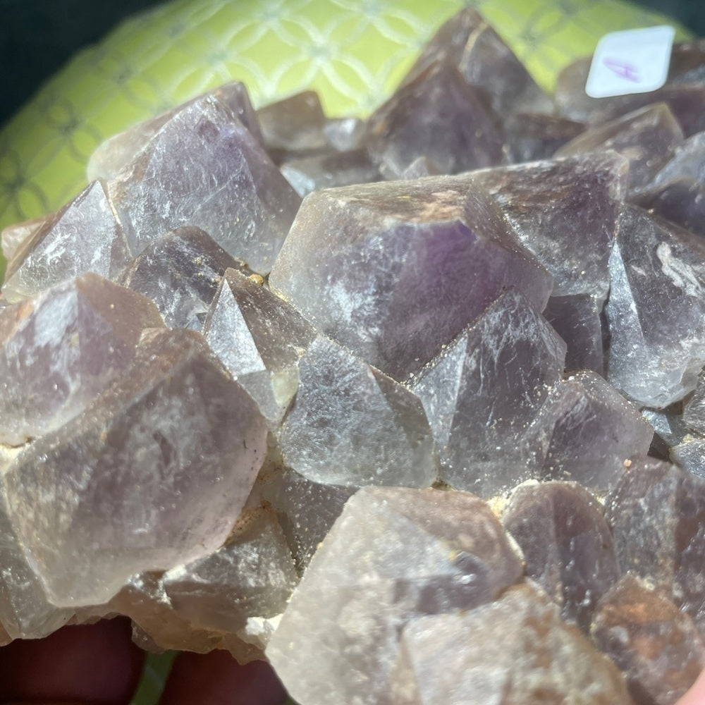 CRYSTAL CLUSTER- AMETHYST from MADAGASCAR! XL TEETH, 6”x5”x2” all natural