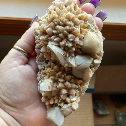 Raw Crystal large cluster-BROWN DOG TOOTH CALCITE